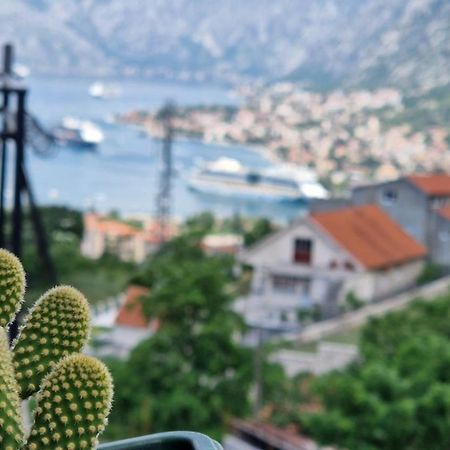 Ferienwohnung Anastasija 2 Kotor Exterior foto