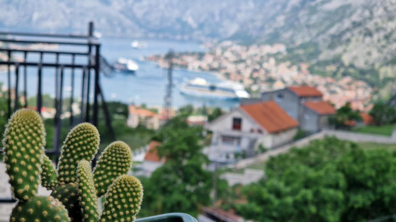 Ferienwohnung Anastasija 2 Kotor Exterior foto
